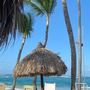 Meet your Posher, Tiff